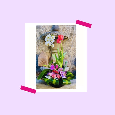 Photograph of fresh flowers in a clear vase taped to a pink background, featuring white daisies, red tulips, and pink orchids with green foliage